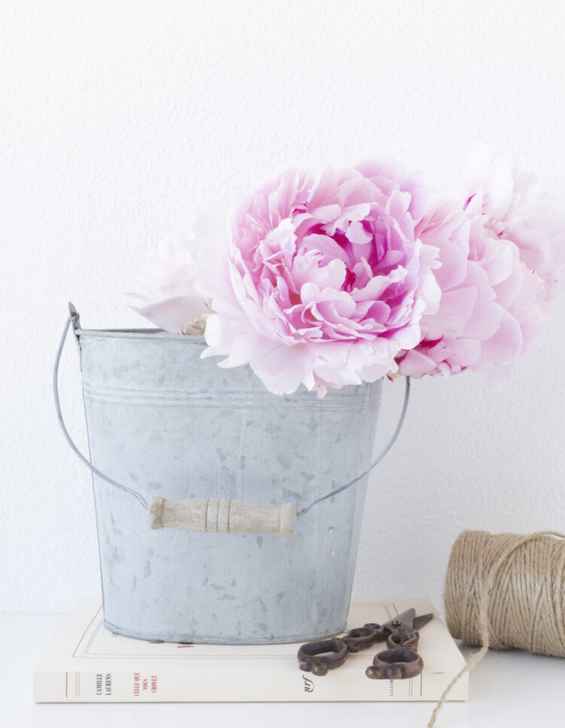 peonie decorative
