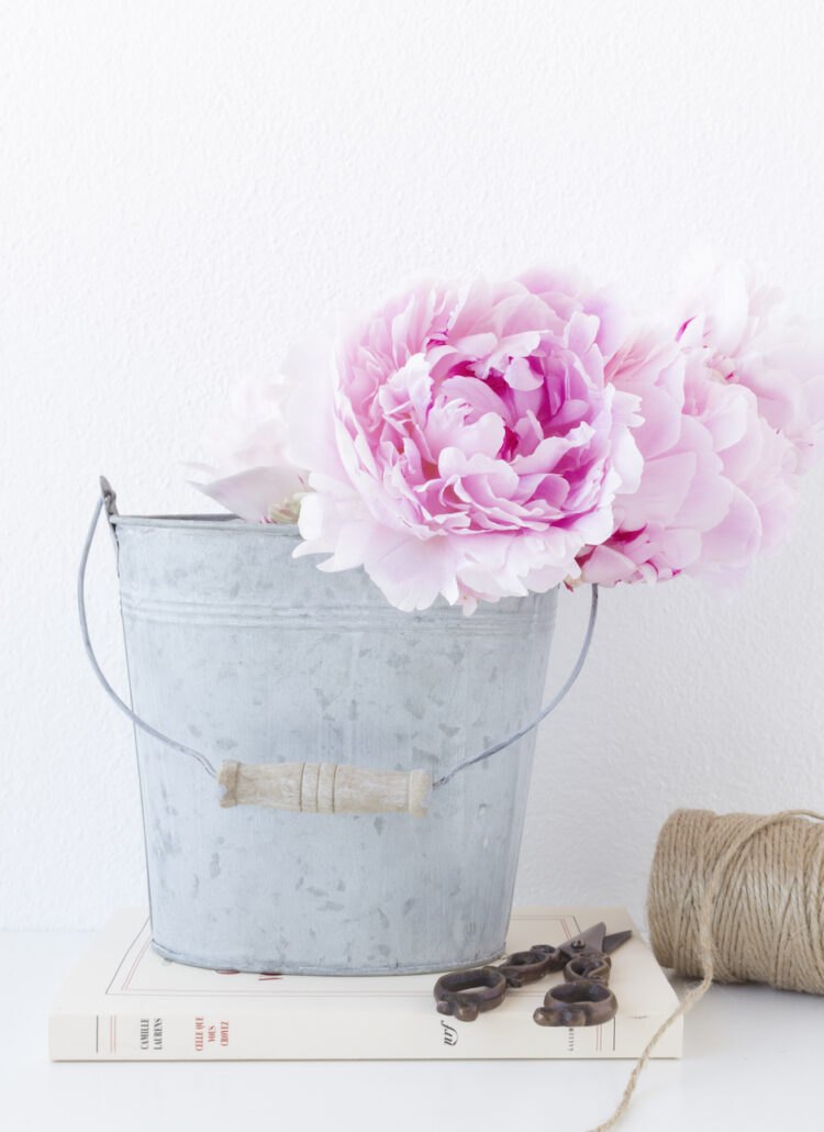 Fiori Shabby
