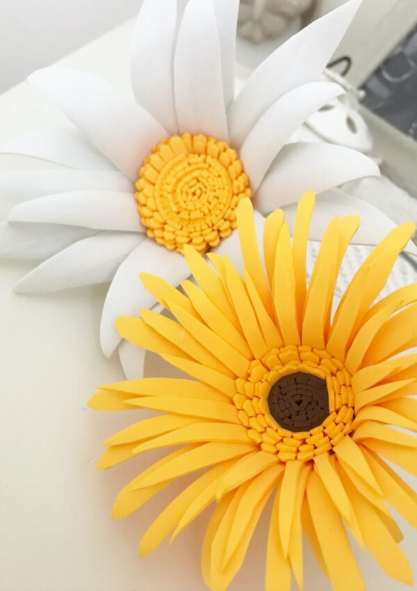 Video tutorial fiori in Gomma Eva: gerbera e stella aplina